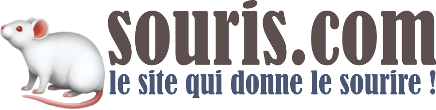 logo souris.com